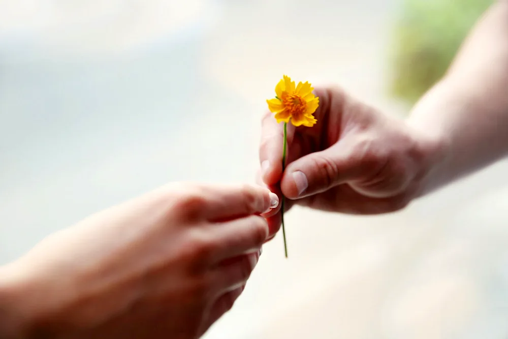 Flowers for a man with a bouquet of roses