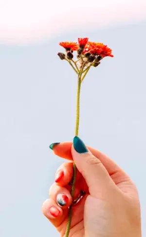 Flower on the hand.