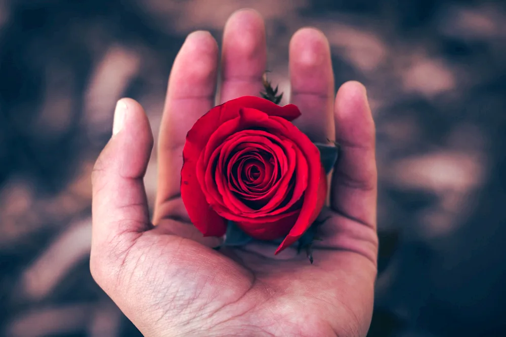 Flowers on the hand.