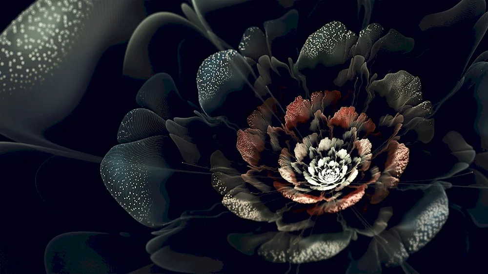 Black rose