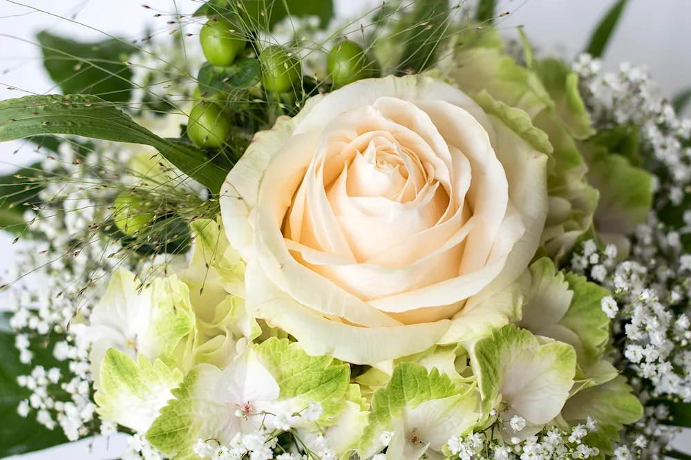 White bouquet