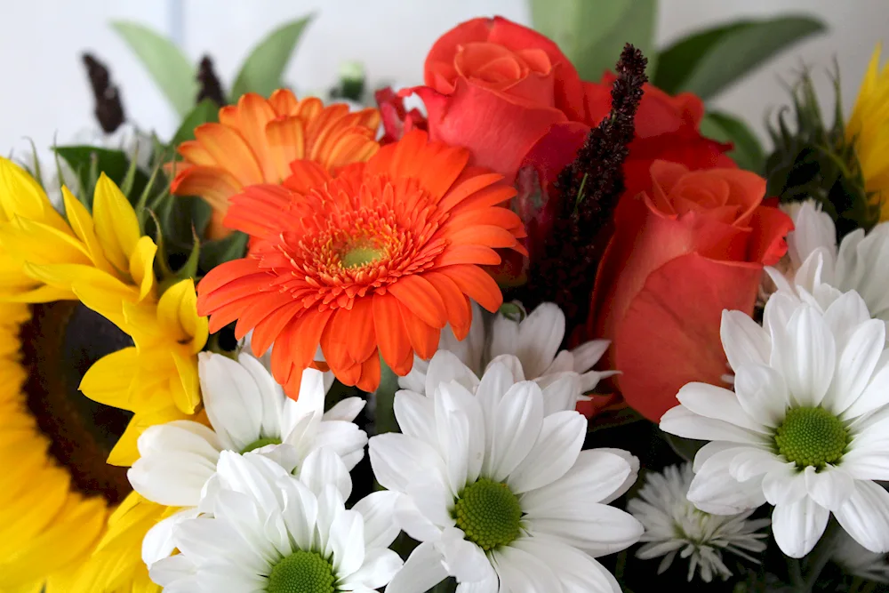 Bouquet of flowers