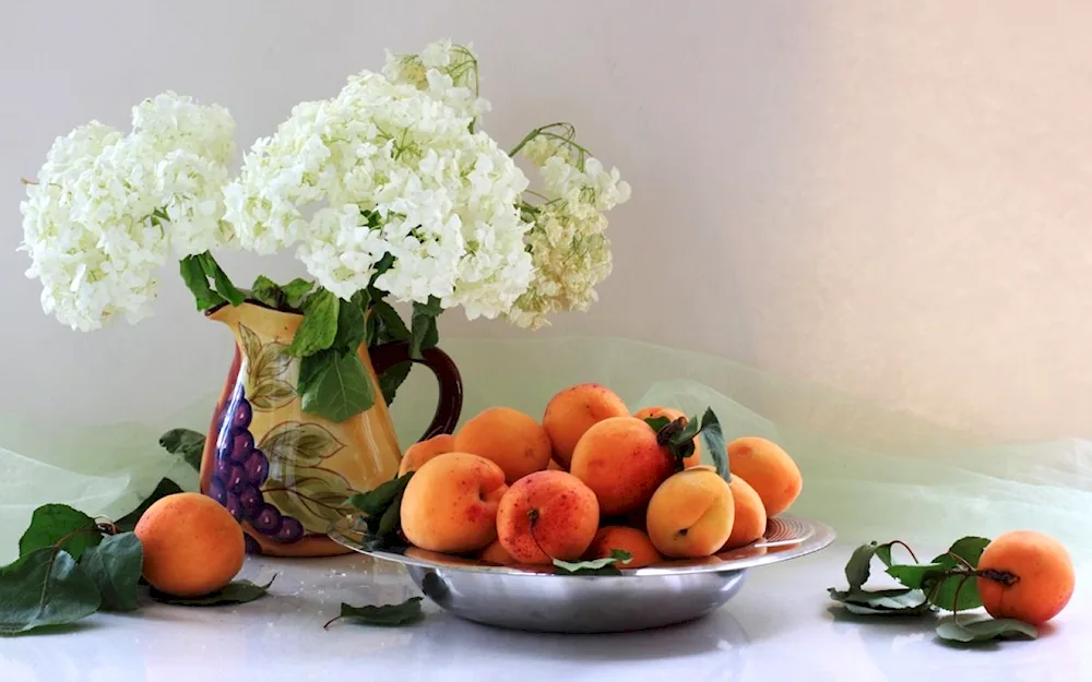 Louise Geltz Photo still life