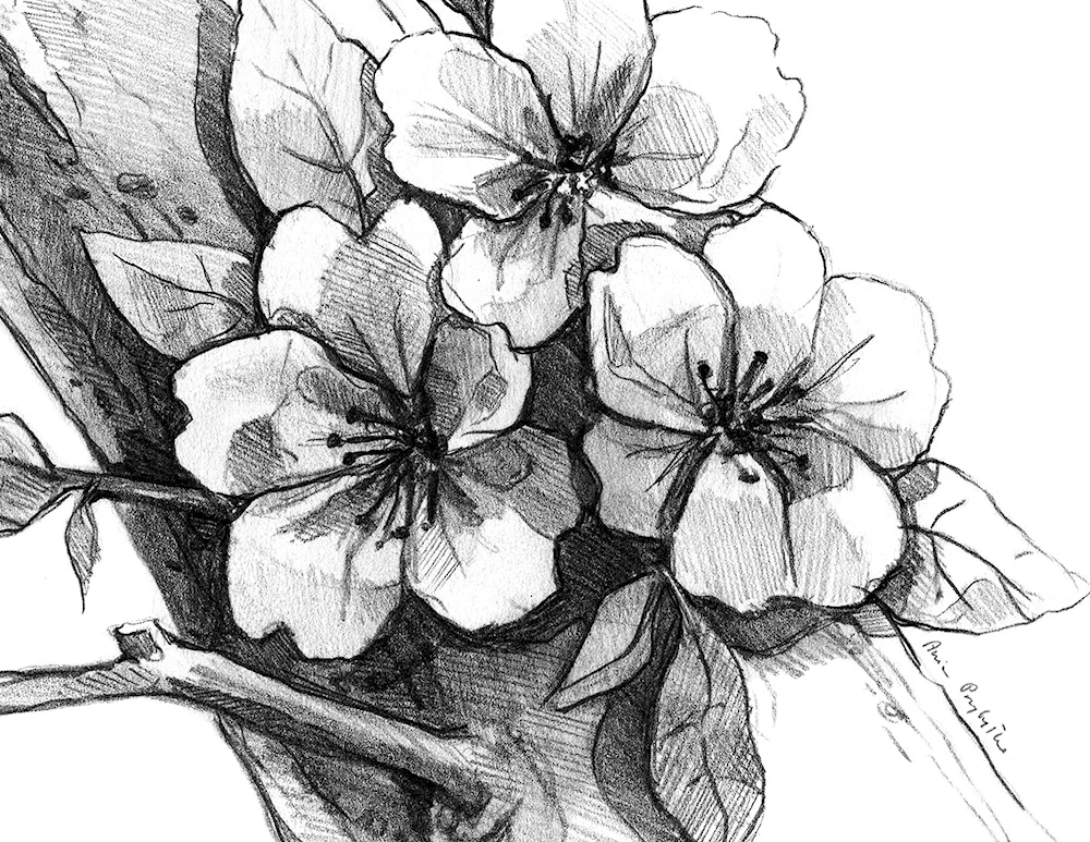 Small flowers sketch