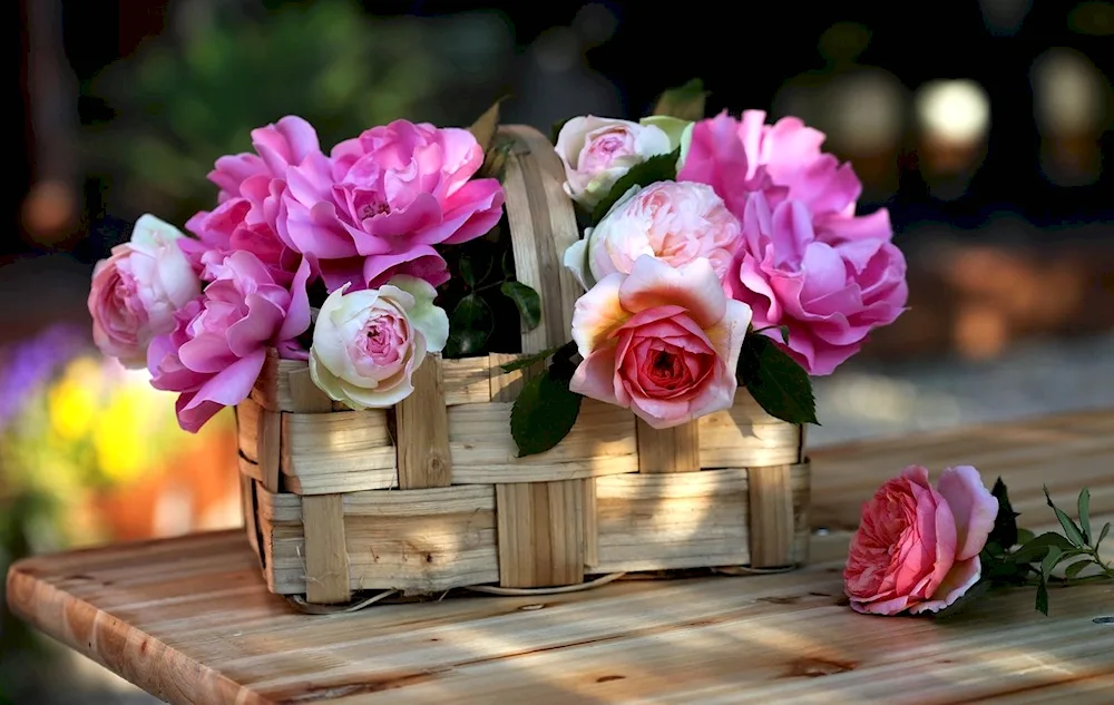 Flowers bouquet of peony roses