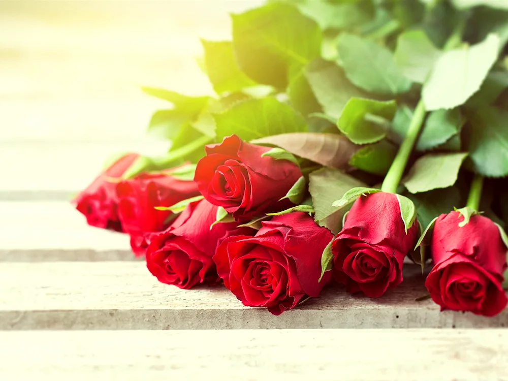 Flowers lying