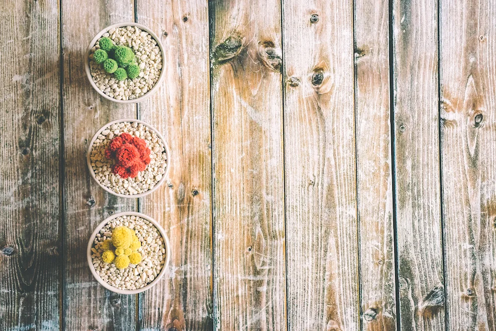 Flowers on wooden background