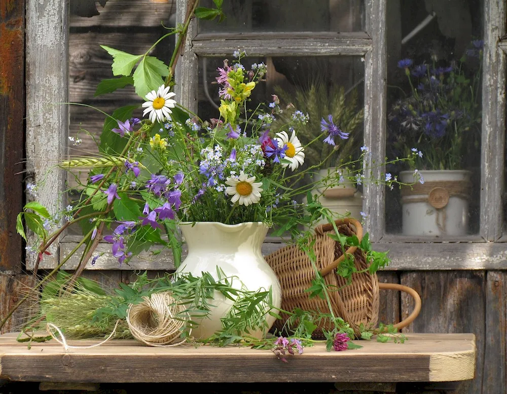 Flowers on the window