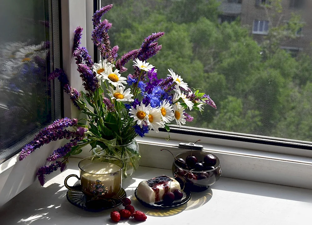 Comfy still life