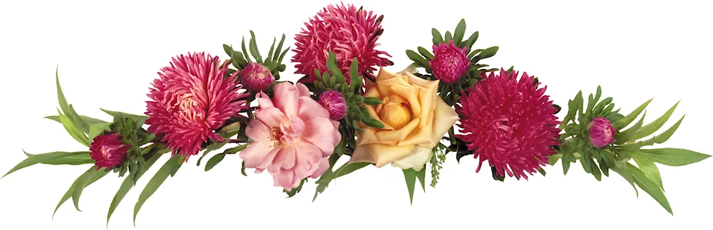 Flowers on transparent background