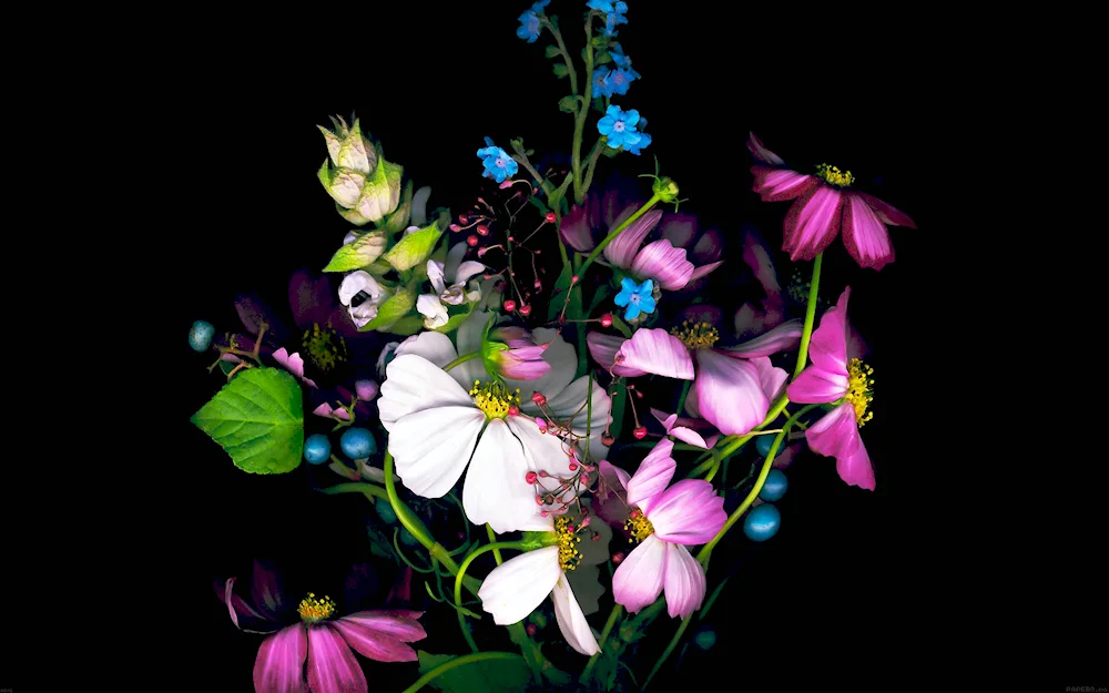 Flowers on dark background