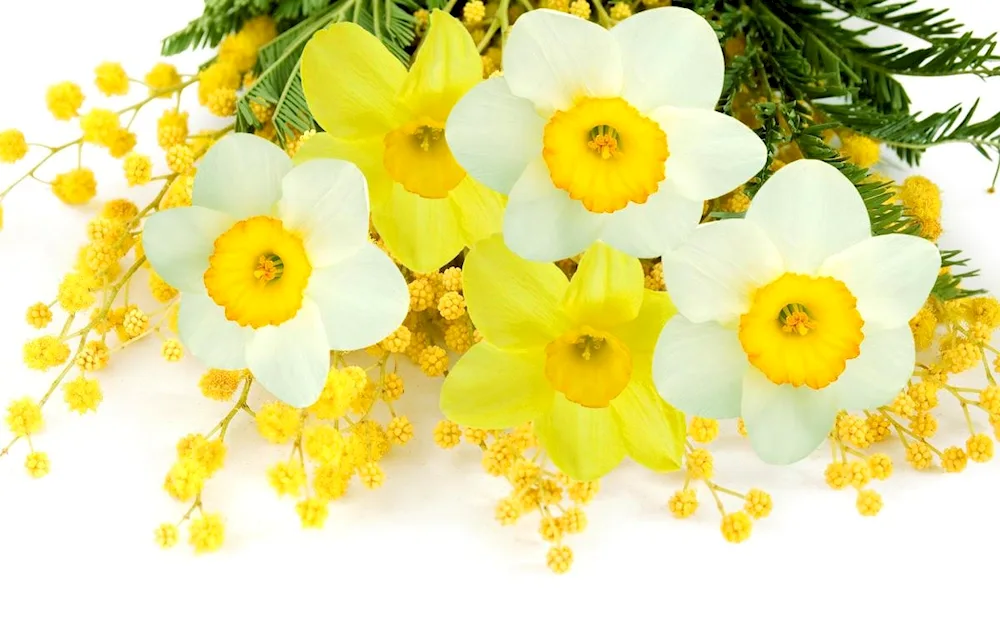 Narcissus flowers bouquet