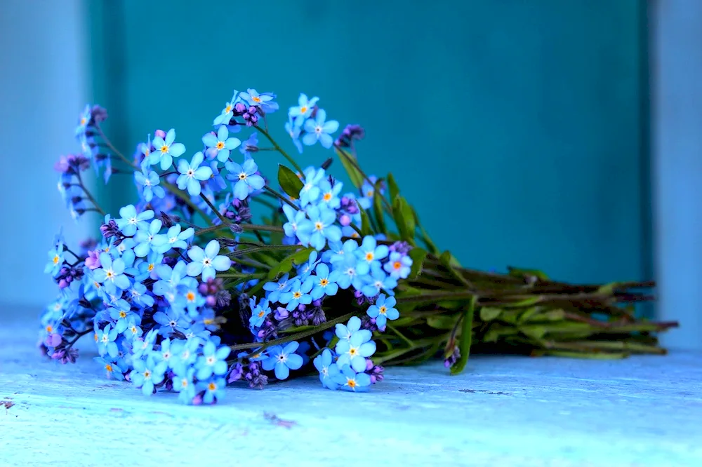 Flowers forget-me-nots bouquet