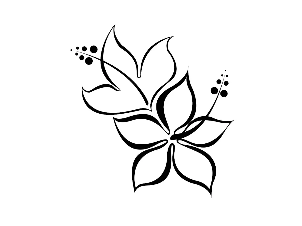 Sketches of minimalism