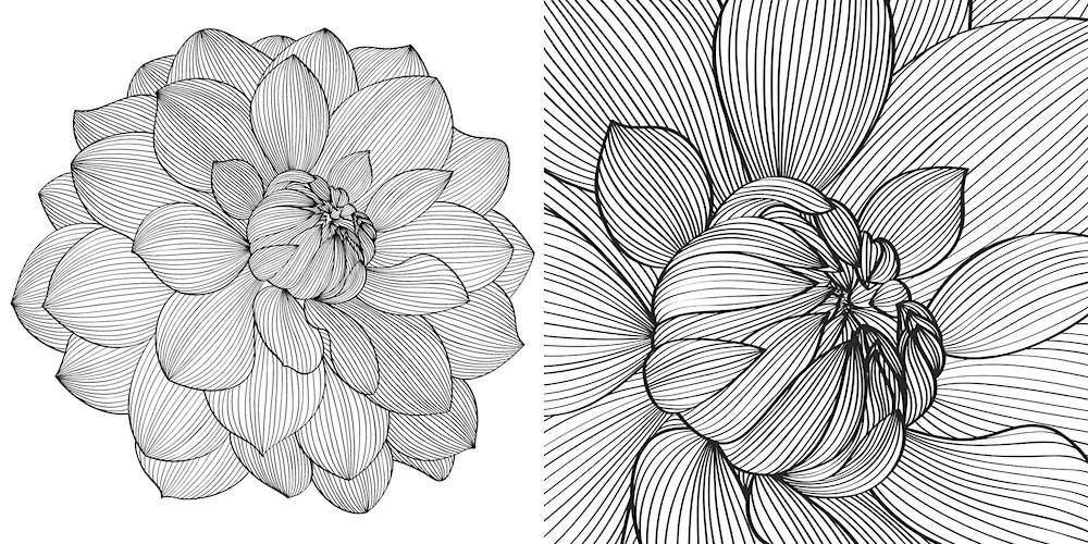 Flowers drawing