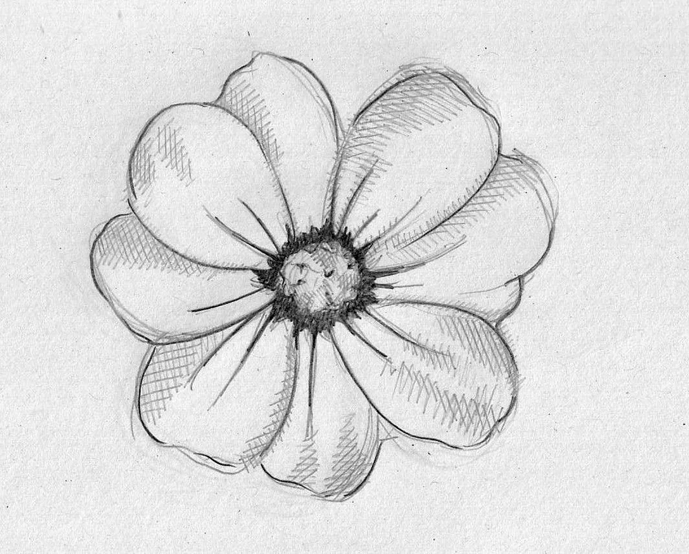 Flowers drawing