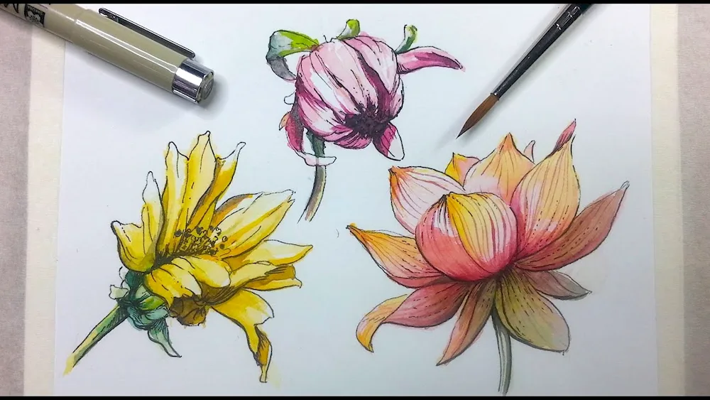 Flowers drawing