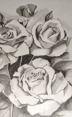 Flowers pencil drawing