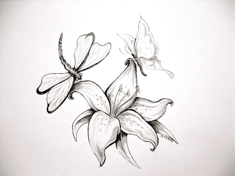 Flowers in pencil