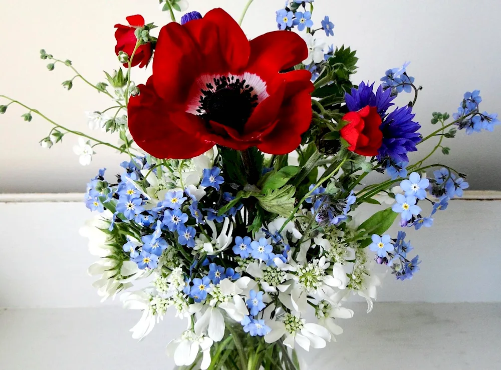 Bouquet of asters