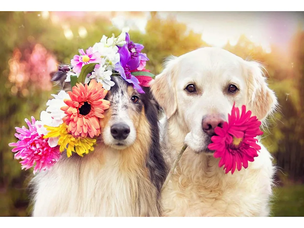 Doggy flowers