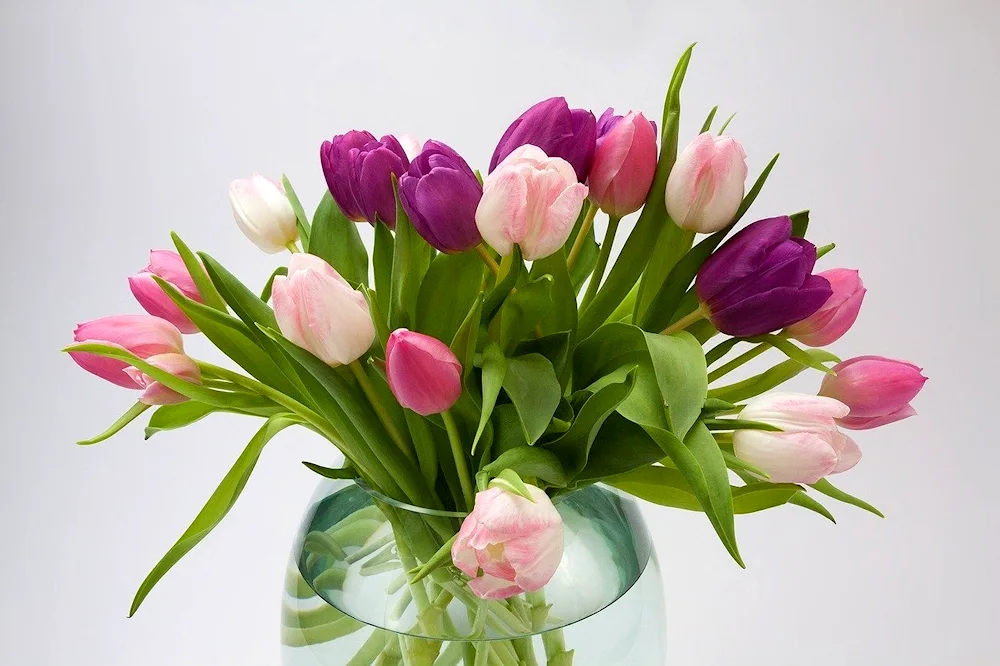 Spring bouquet with mimosa and tulips