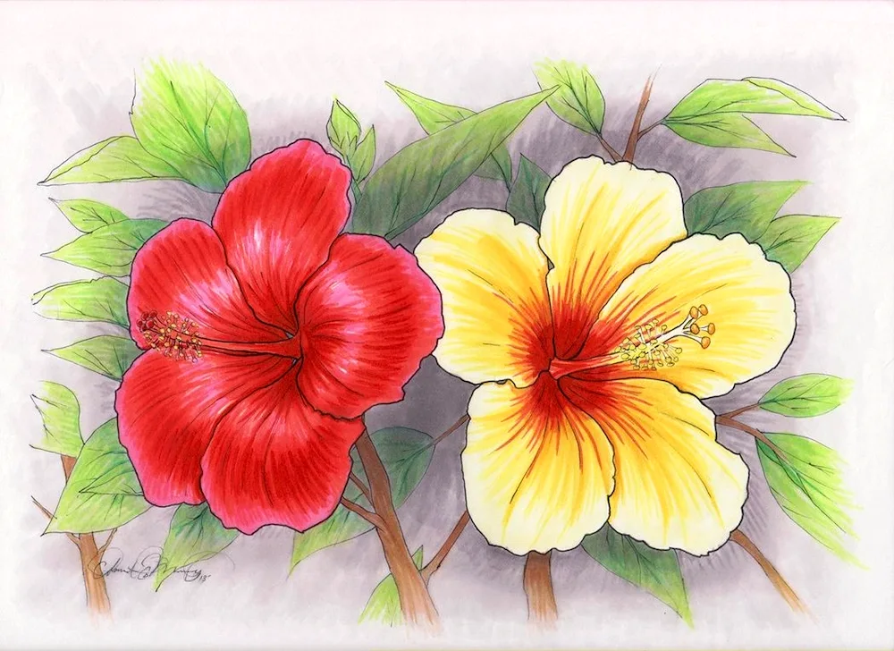 Flowers drawing