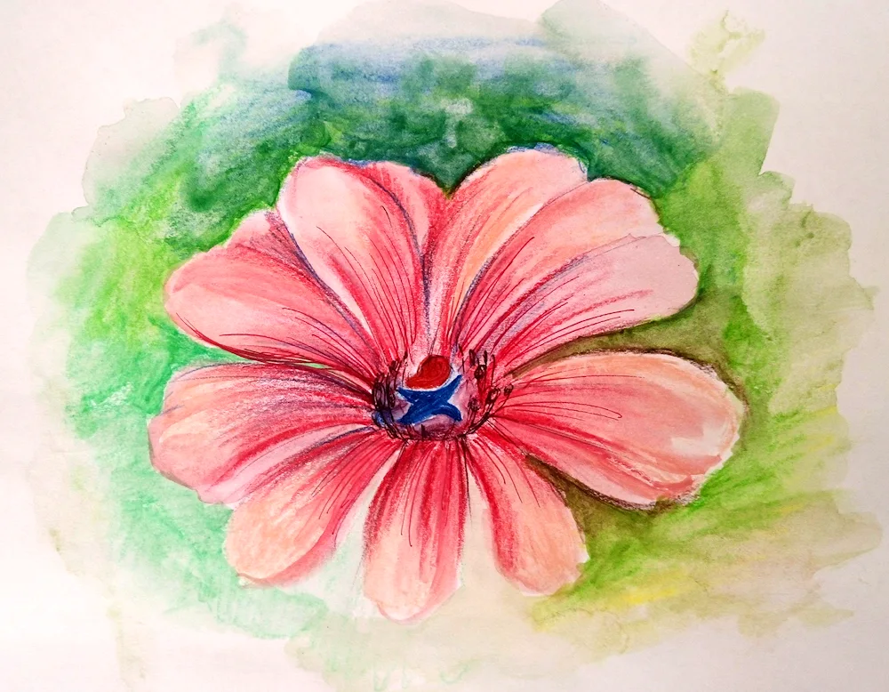 Flower drawings