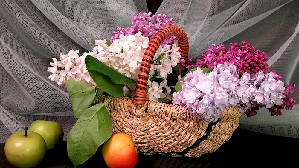 Flowers in a basket
