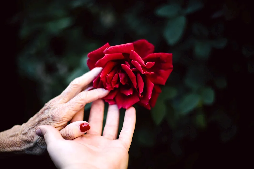 Flower in the hand.