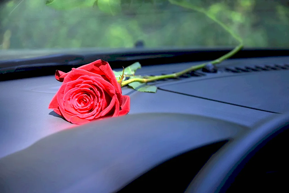 Car with flowers