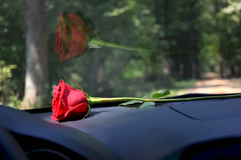 Bouquet of flowers in the car