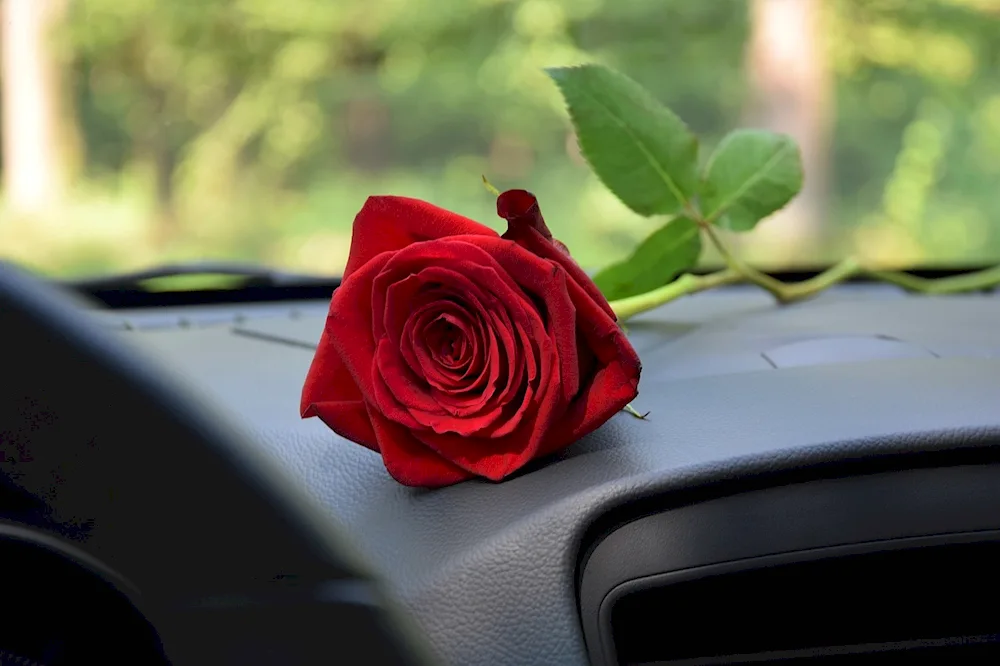 Car bouquet of flowers in the car