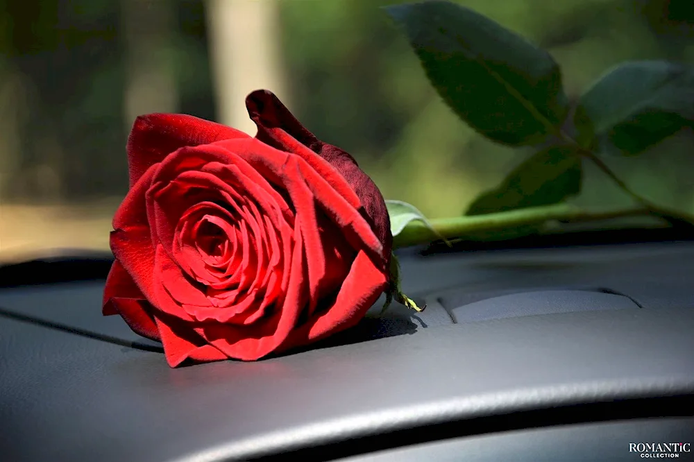 Bouquet of flowers in the car