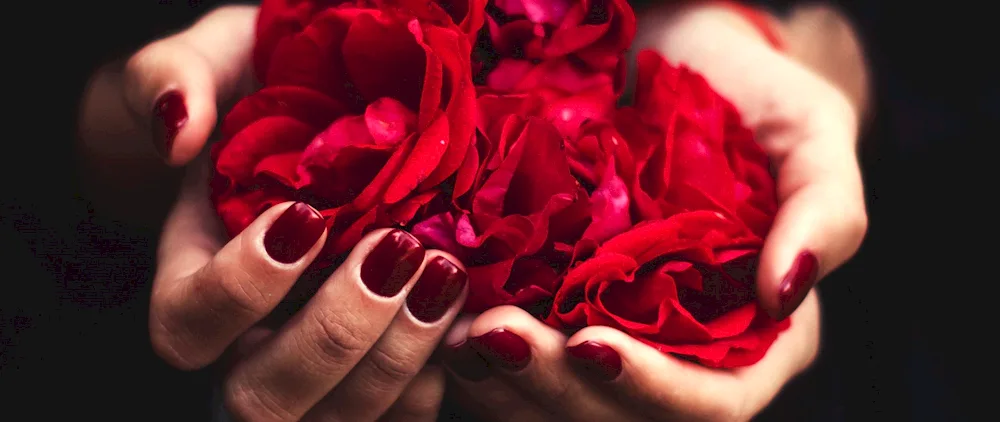 Flowers in the hands of a girl.