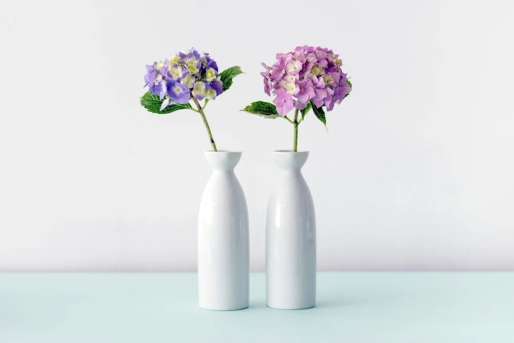 Vase with flowers