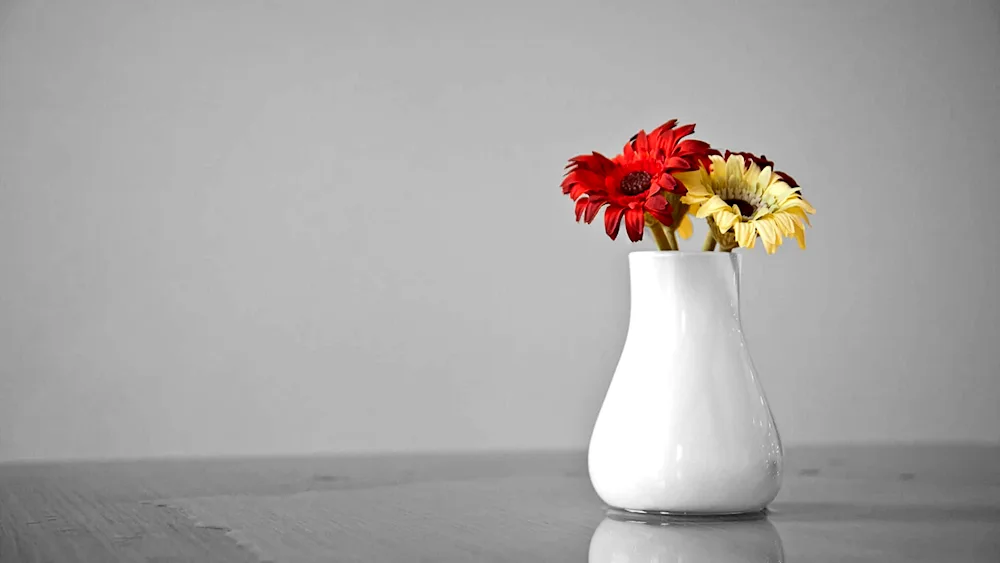 Flowers in a vase