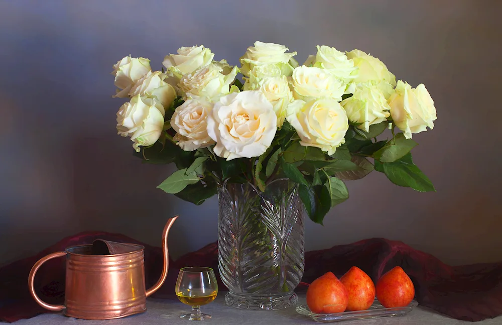 Shell Still Life