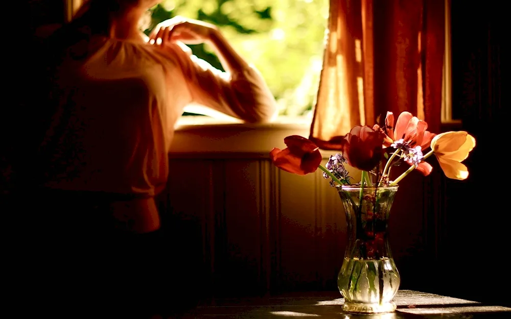 Flowers in the window