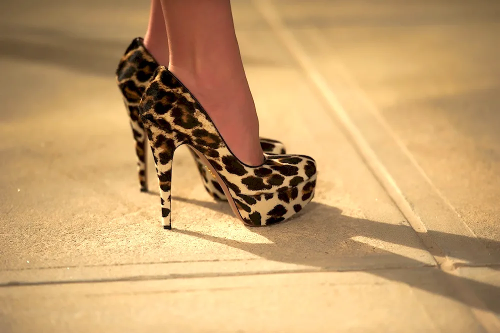 Betsy leopard shoes