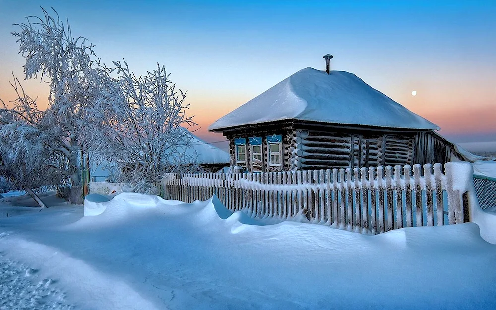 Village in winter