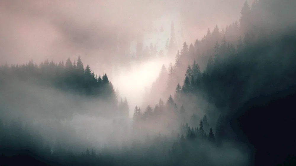 Foggy landscape