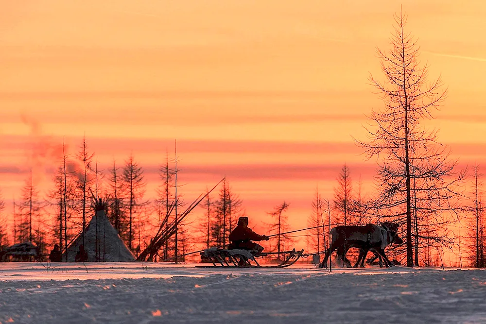 Tundra of Yakutia