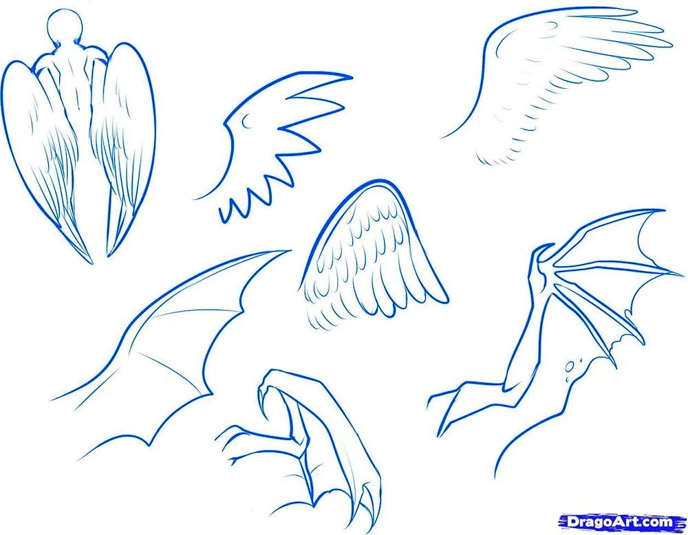 Crow wings reference