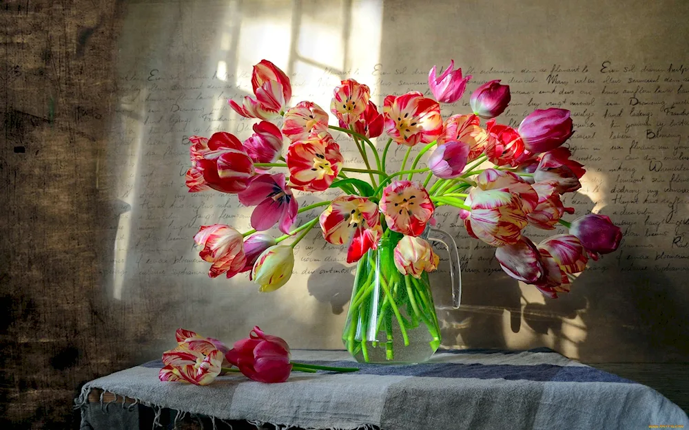 Tulips in a vase