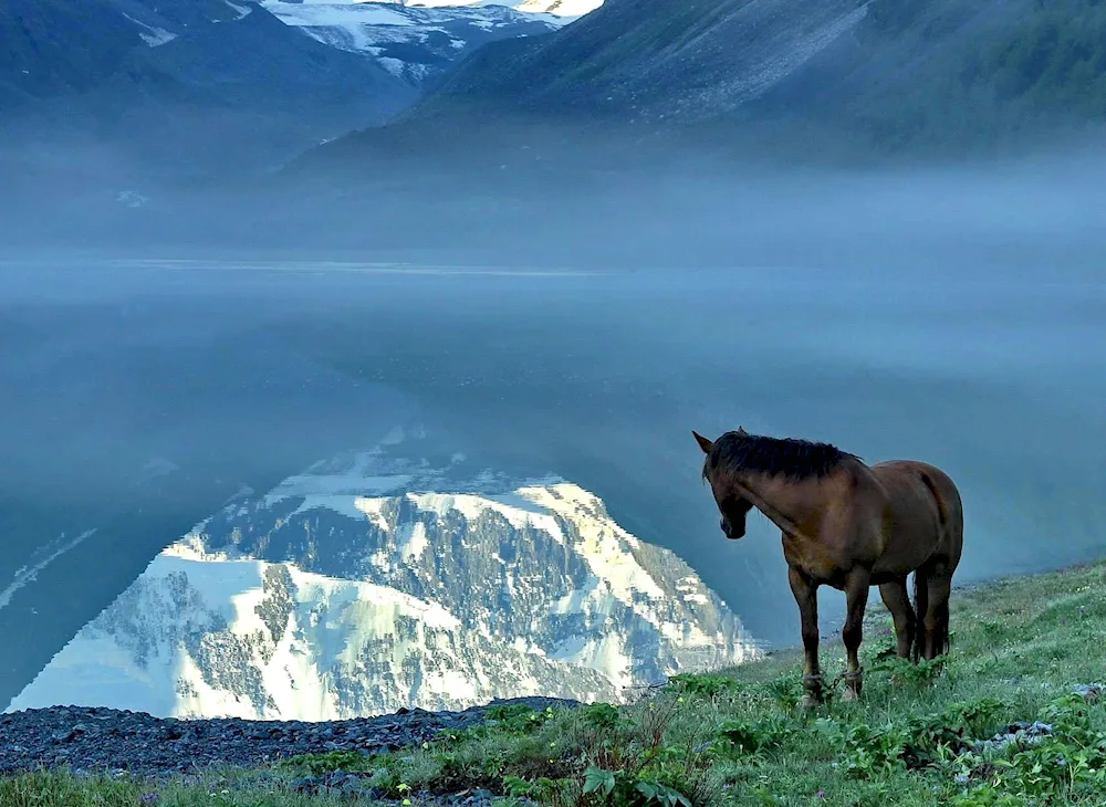 Tuva Mongun Taiga