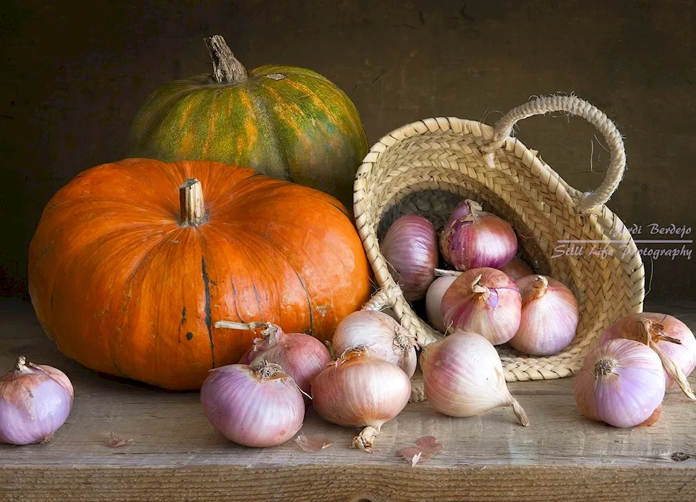 Pumpkin still life