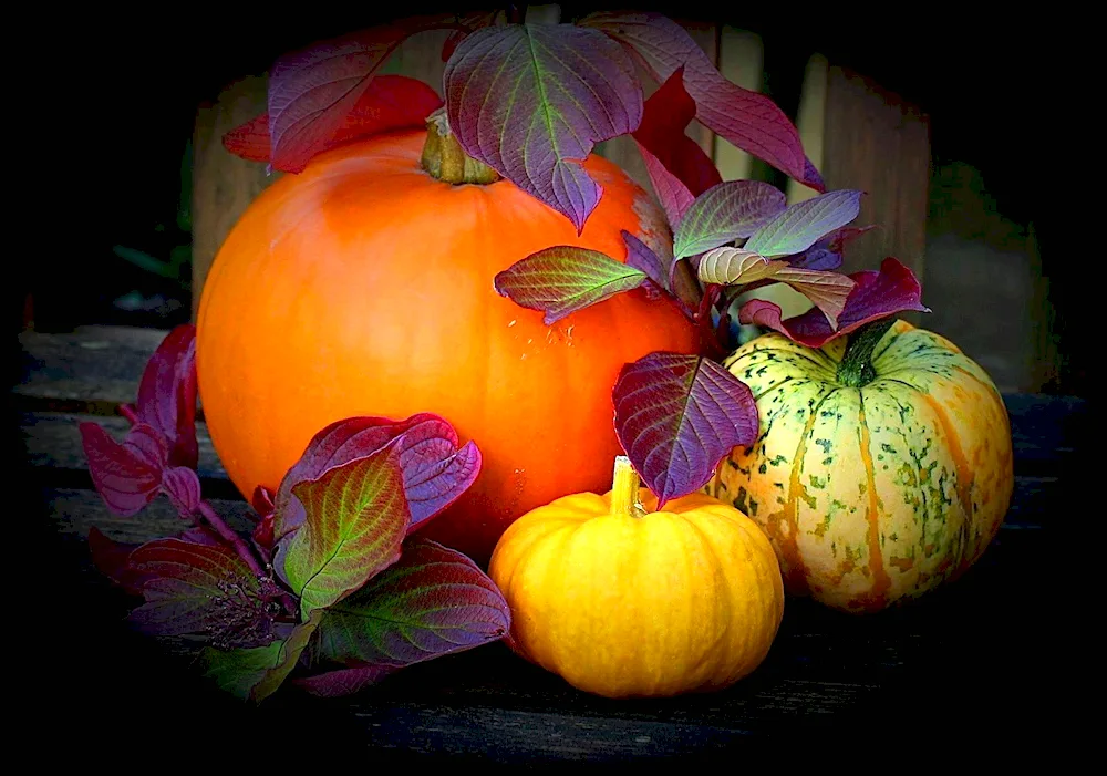 Autumn vegetables