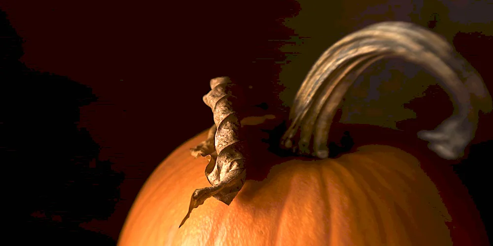 Autumn-themed baking