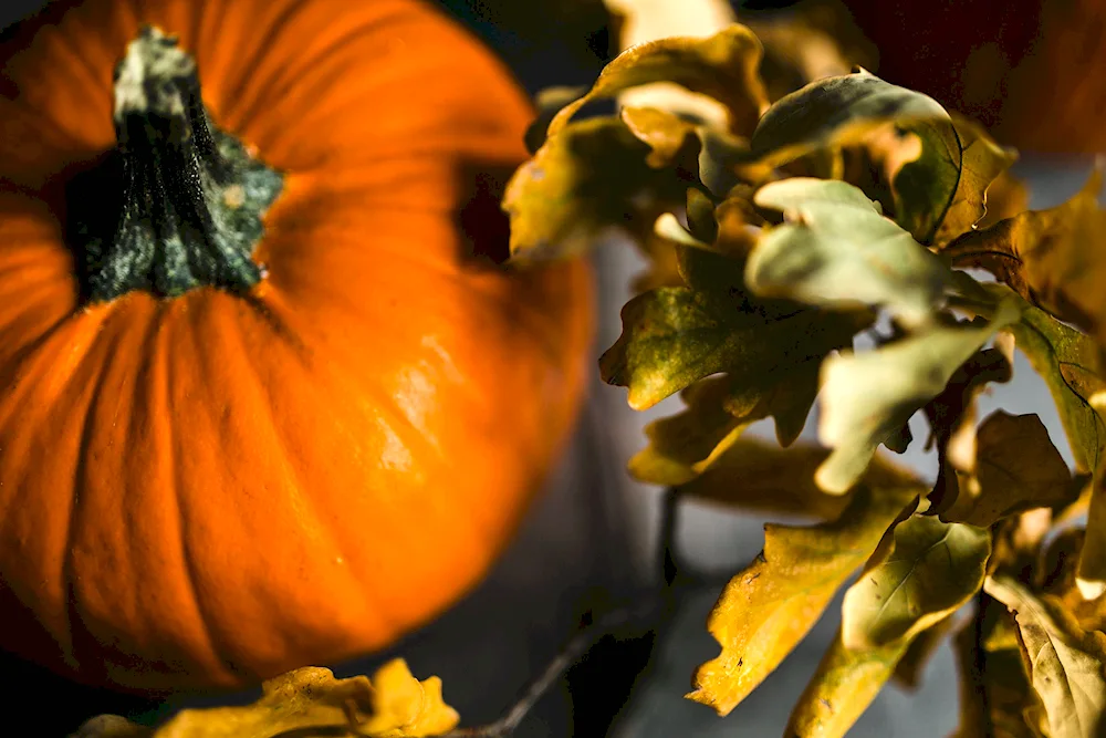 Pumpkin with persimmon